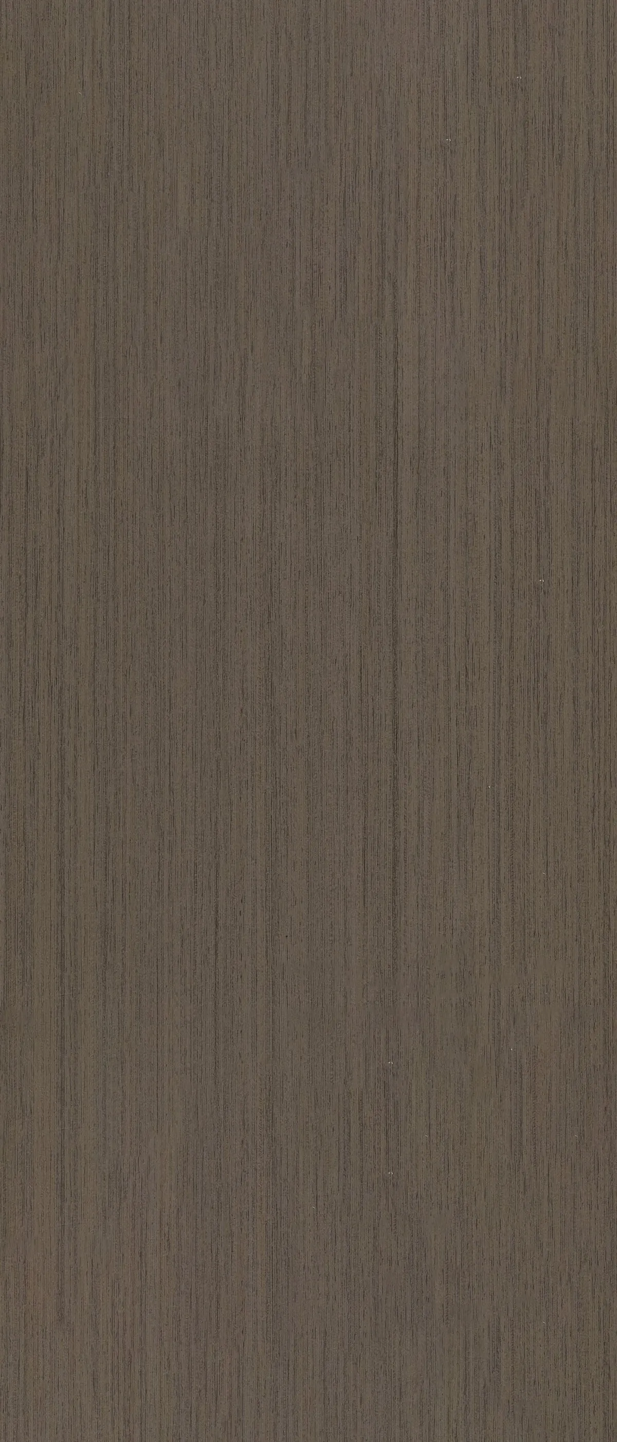  MW 86224- GM 4029 дерево — фото 1