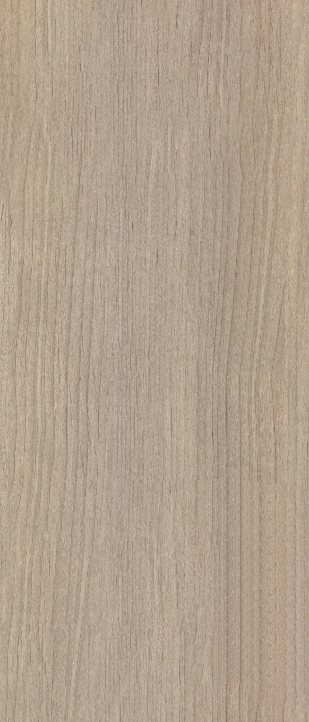 MW 86117 - GM 4013 дерево — фото 1