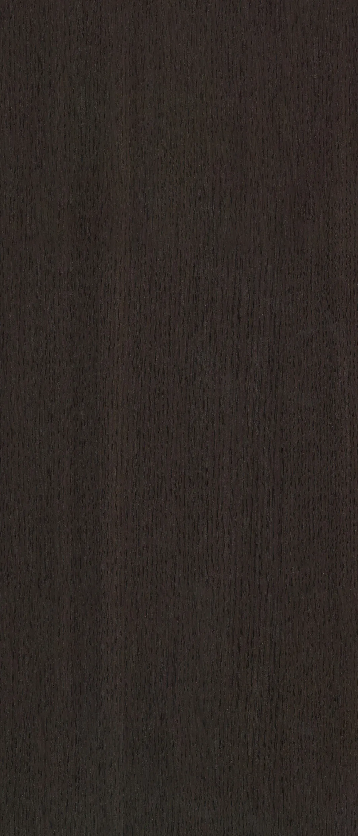 MW 86318 дерево — фото 1