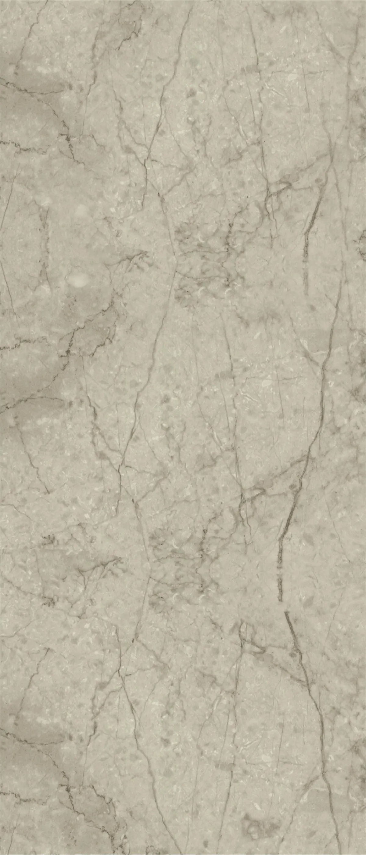 SW 50104 камень — фото 1