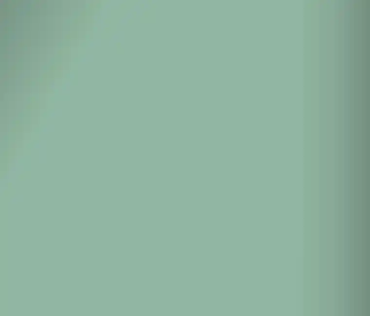 ZFZ 30273  — фото 1