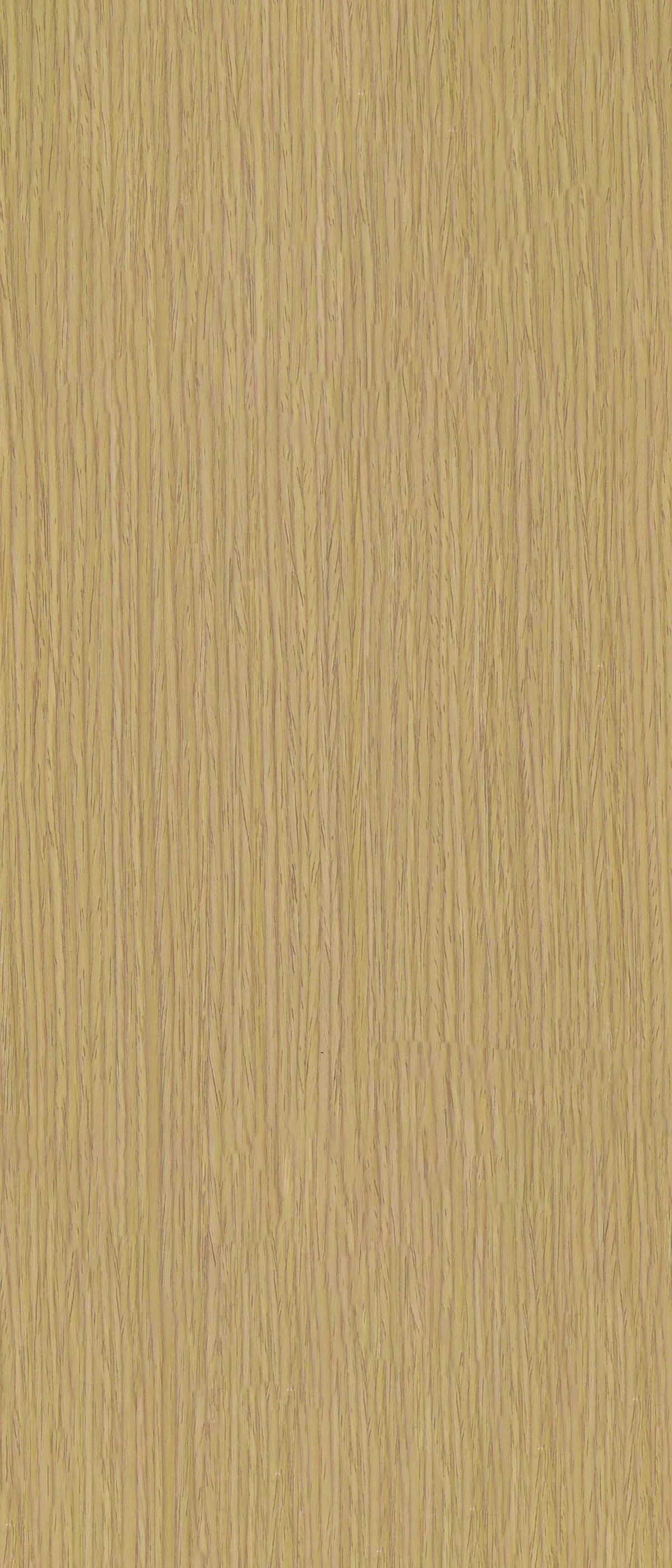 MW86101  дерево — фото 1