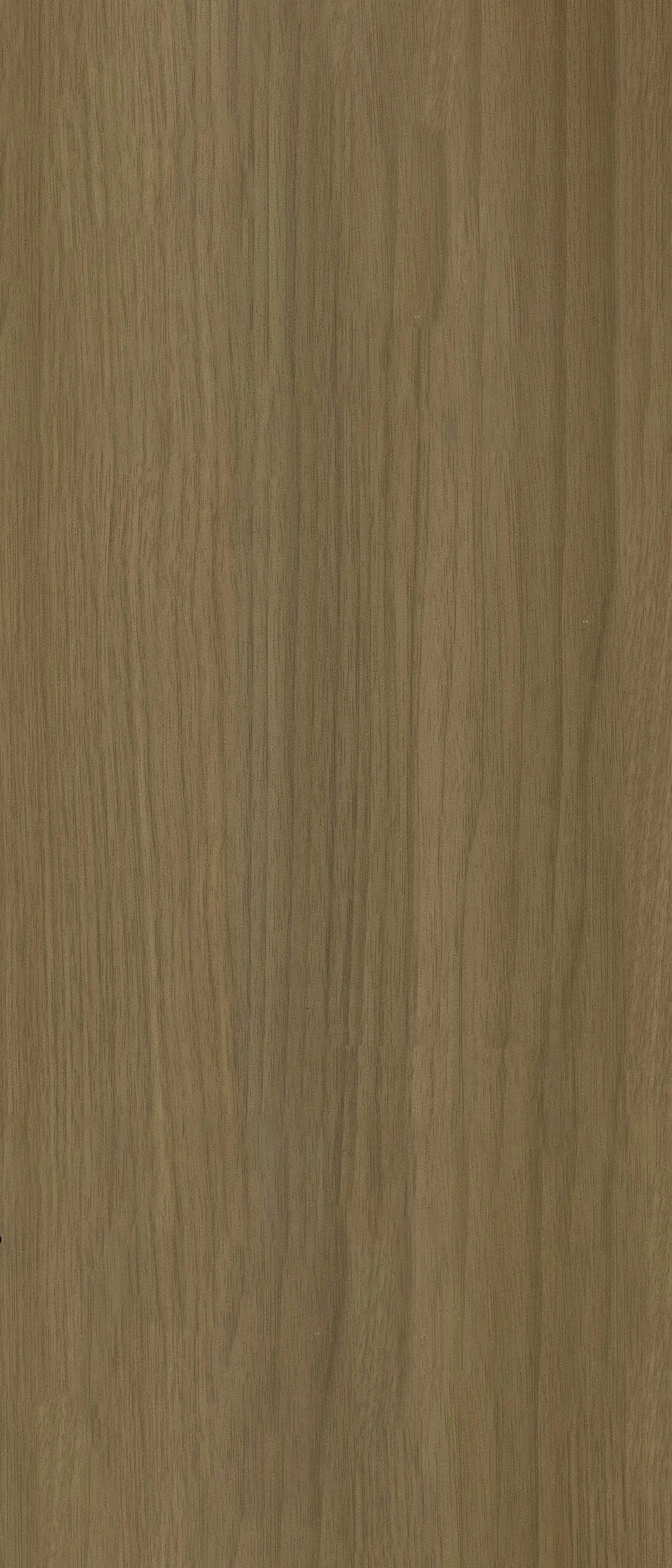 MW 86236 дерево — фото 1