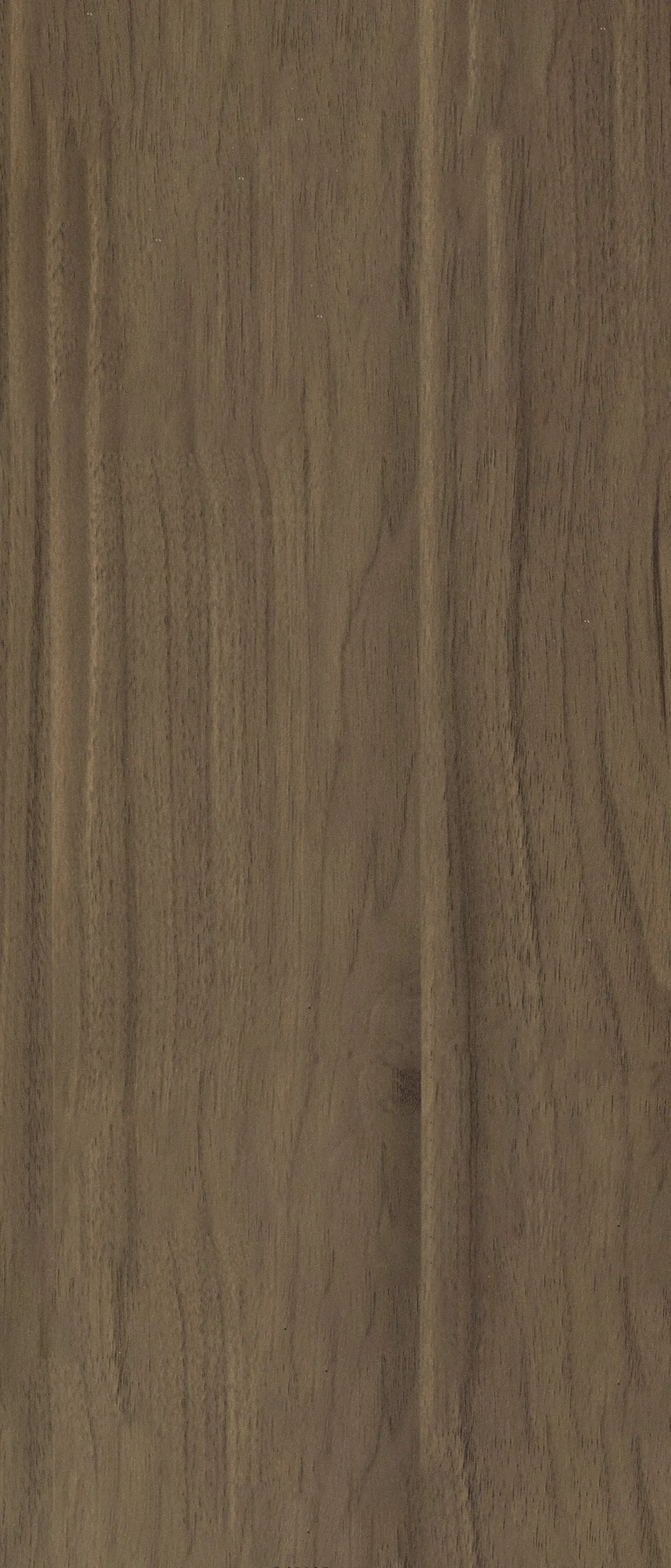 MW 86233 дерево — фото 1