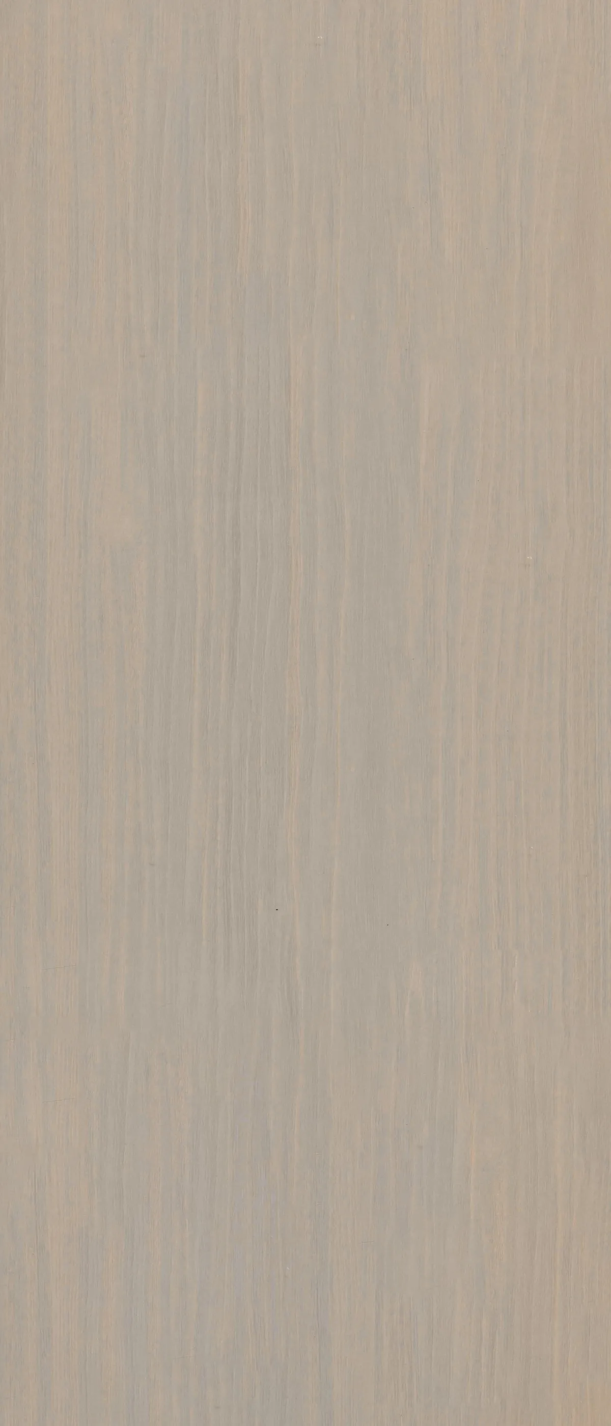 MW 86207 дерево — фото 1